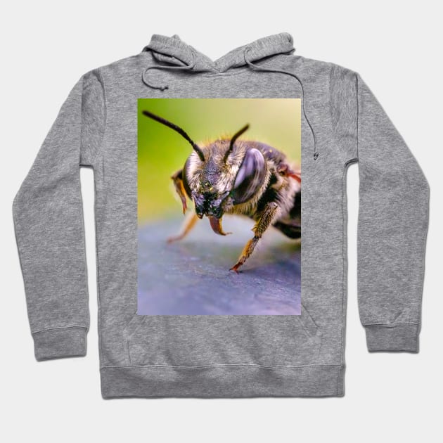 Good Doggy! Macro Insect Photograph Hoodie by love-fi